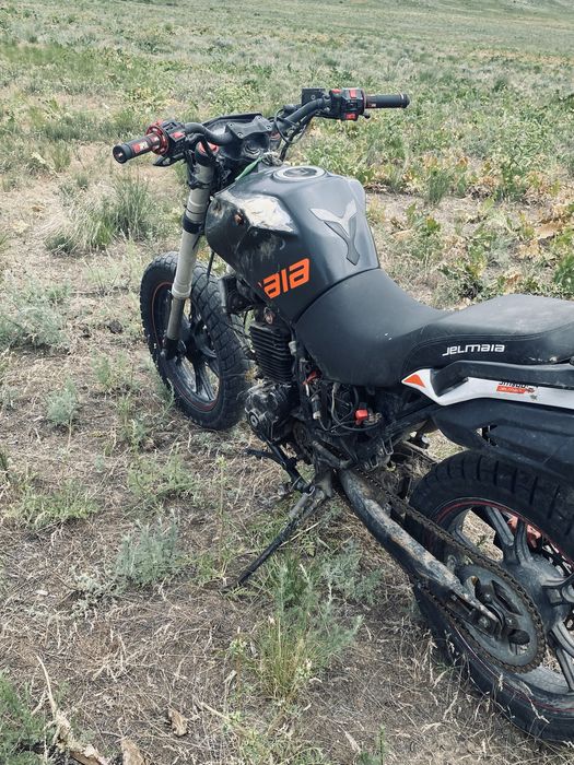 Желмая қара бұқа 300
