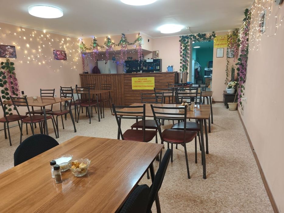 Действующий бизнес