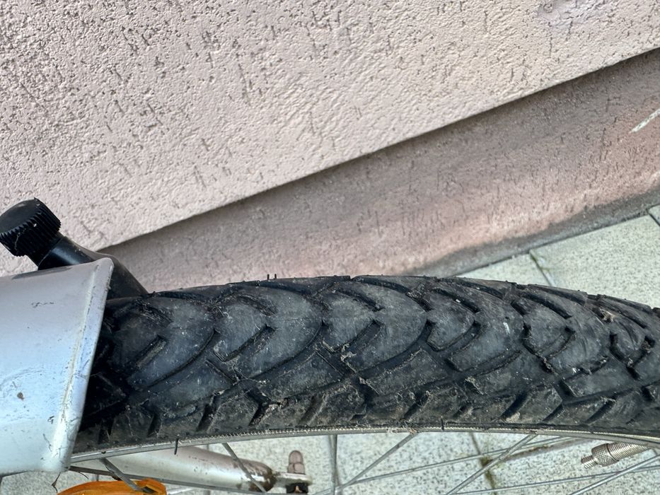 Bicicleta de dama