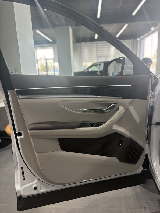 BYD Champion Smart 2025