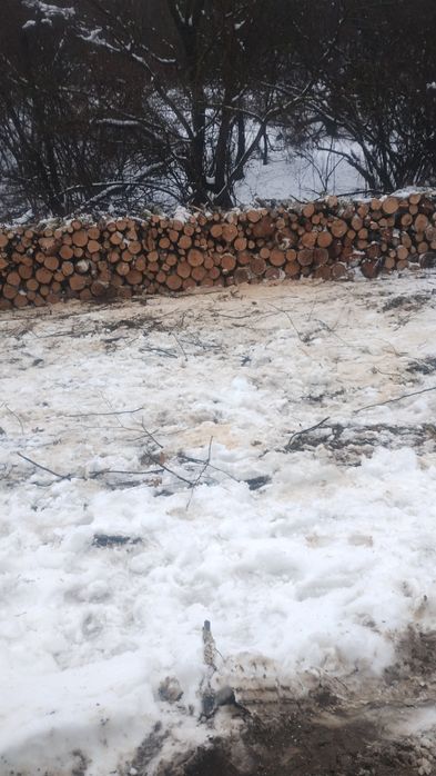 Vand lemne de foc carpen