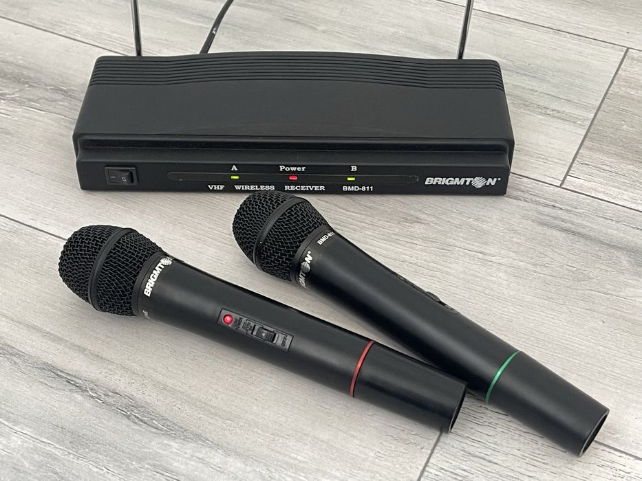 Microfoane wireless karaoke
