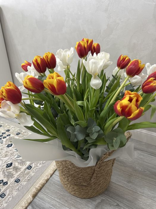 тюльпаны продаю сегодня