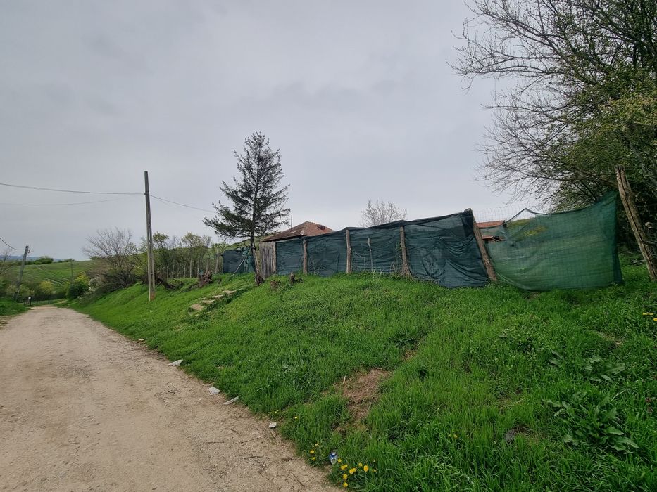Casa+Teren de vânzare