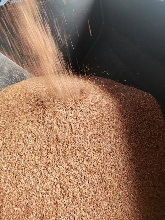 Продам лён подработаный.