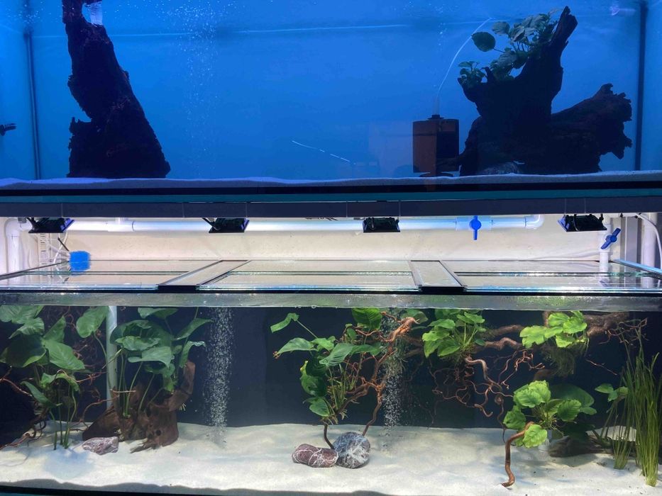 LED лампи за аквариуми/ Изработка по размер на  аквариума