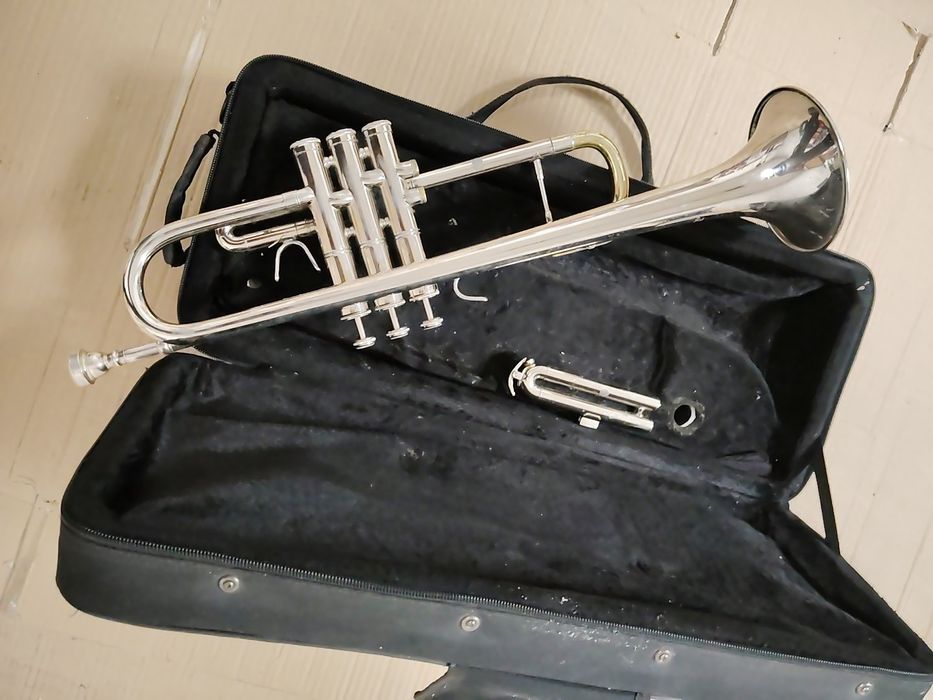 Цитра ,китара електрическа, бас флигорна, тромпет  и. цигулка.