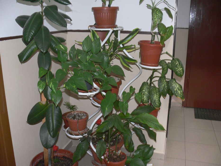 Panasonic Lumix DMC-FZ30