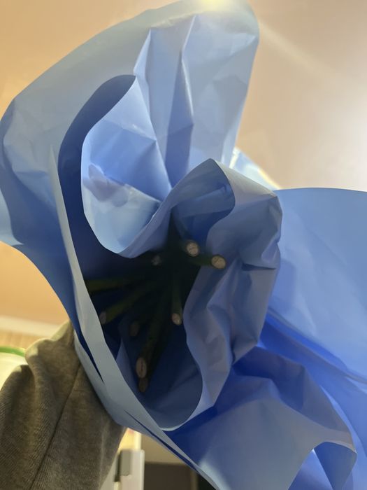 белые розы 16 шт