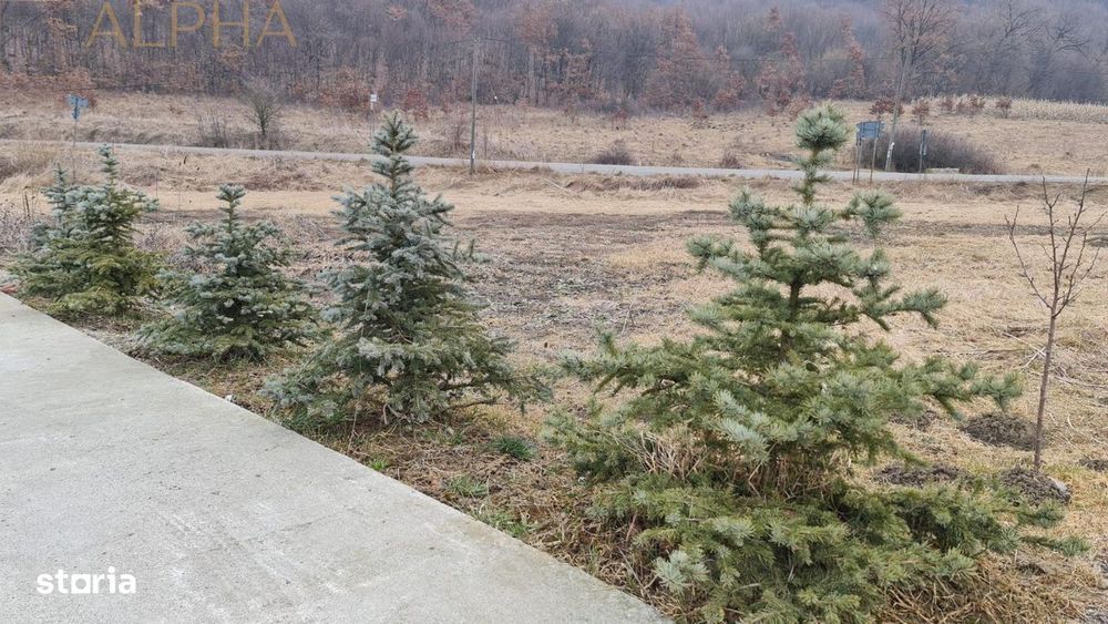 Afacere La Cheie – Hala Productie + Sera Profesionala