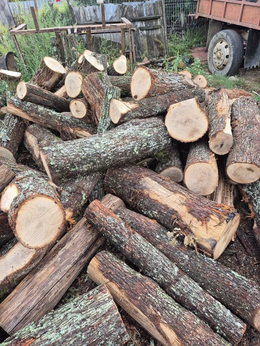 Lemne de foc doar calitate