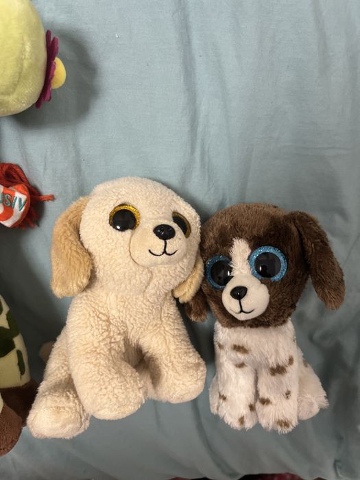 Ghiozdan Gradinita Troles si Plusuri superbe catelusi TY