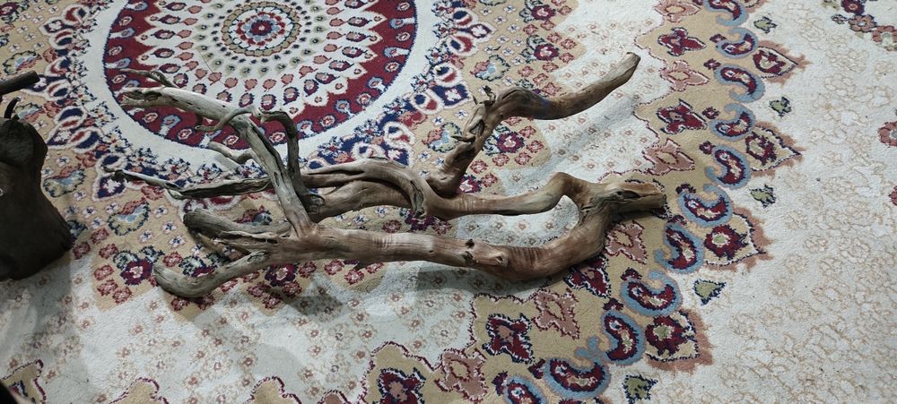 Аквариумный коряга продам