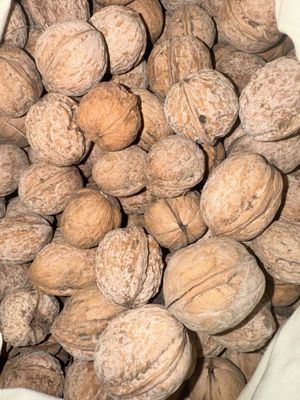 Грецкий орех полный и чищенный