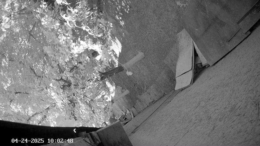 Kirovda  hovli sotiladi srochna