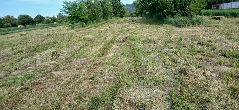 Vând lucernă balot dreptunghiular de 85