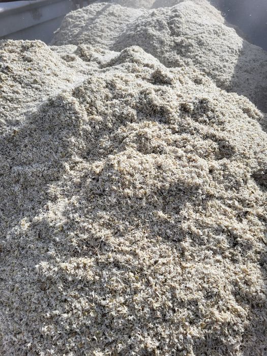 Borhot din sfecla de zahar