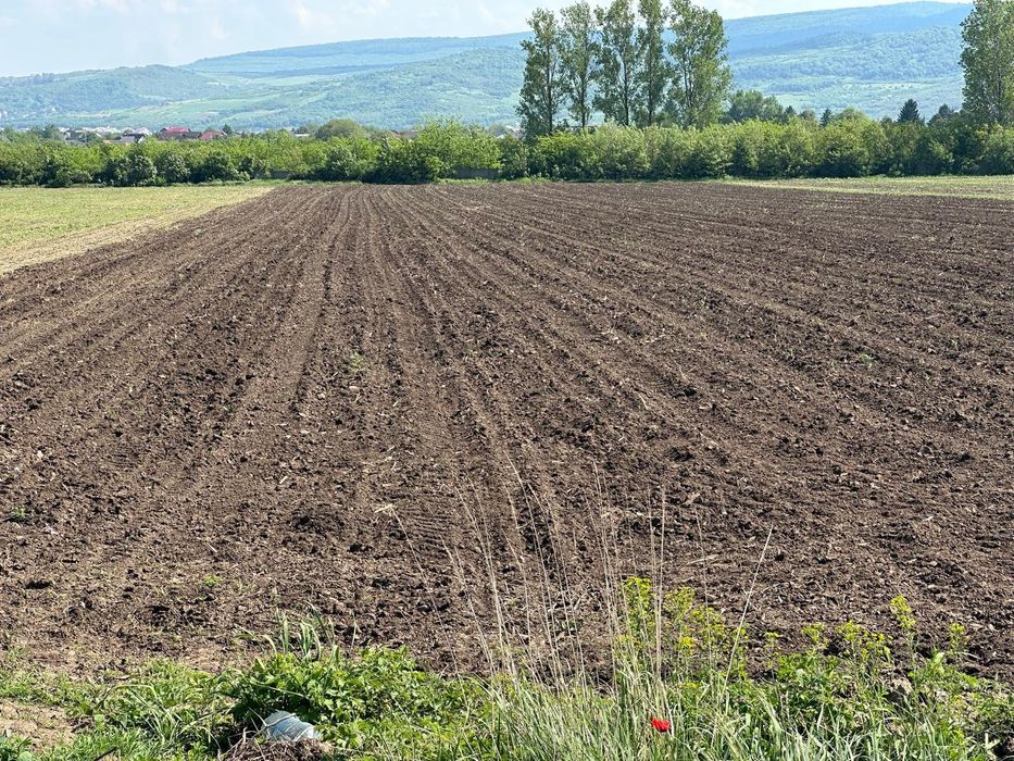 Teren Dancu deschidere la  aleea betonata