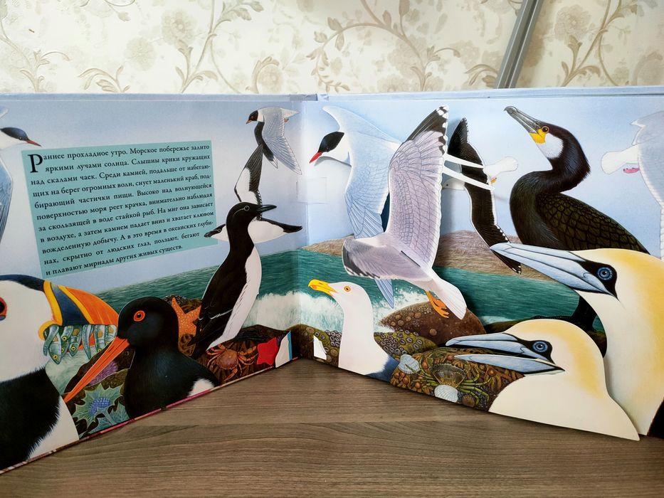 Книга -панорама со звуком