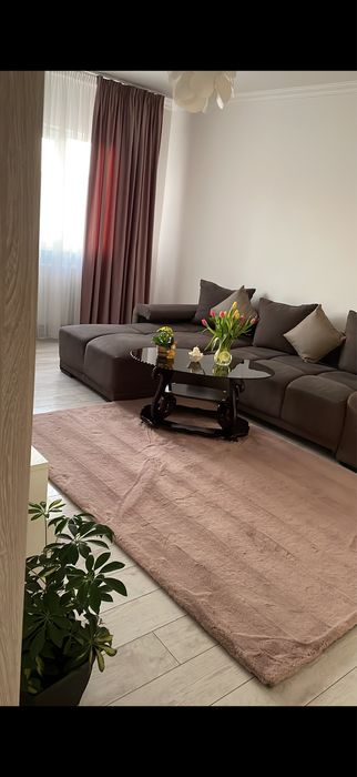 Apartament cochet