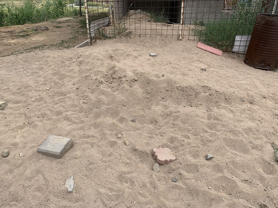 Продам песок рассыпной