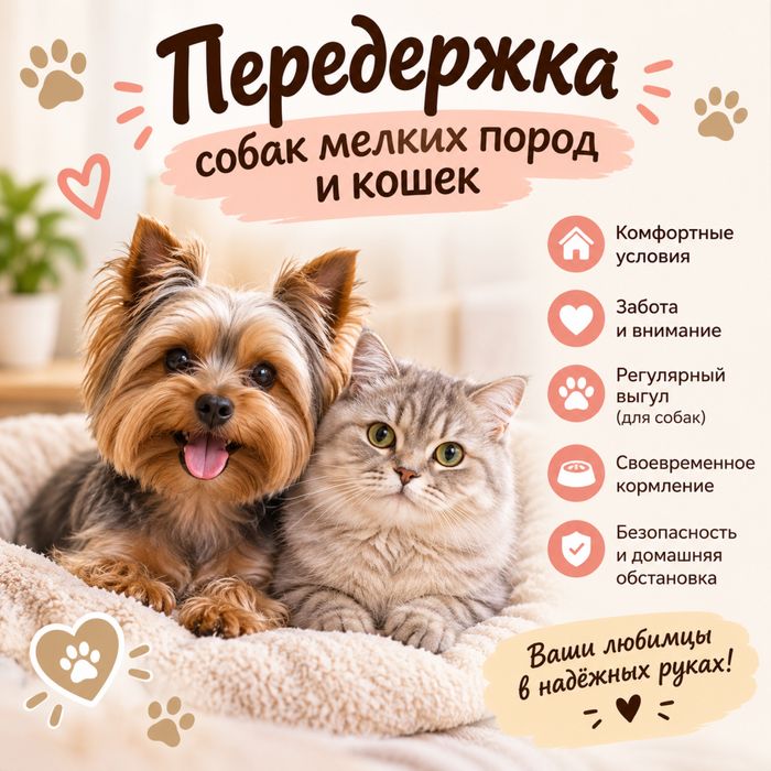 Передержка собак и кошек