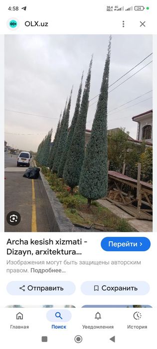 Archa kesish xizmati.