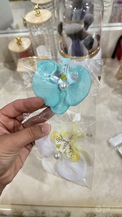 Plyajni zakolochkala gulli