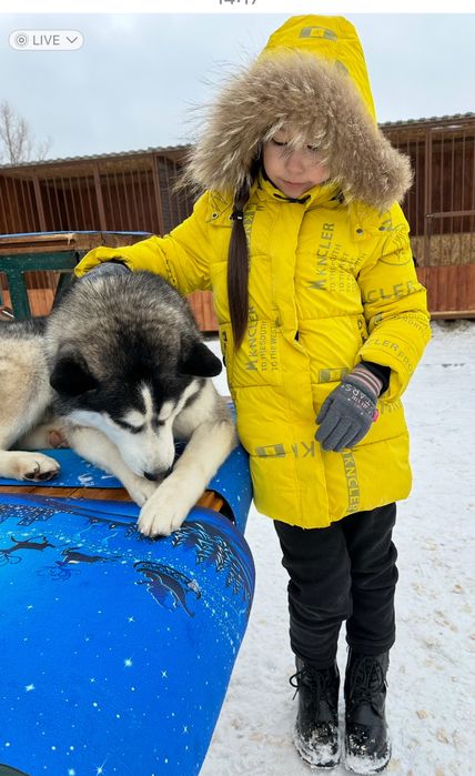 Куртка для девочек
