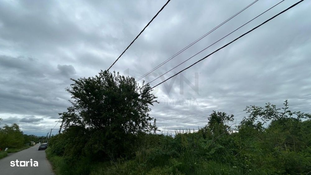 Teren sector 1 Centura DN1 Padurea Baneasa