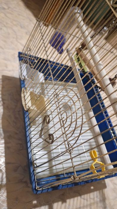 Продаю клетку для птиц