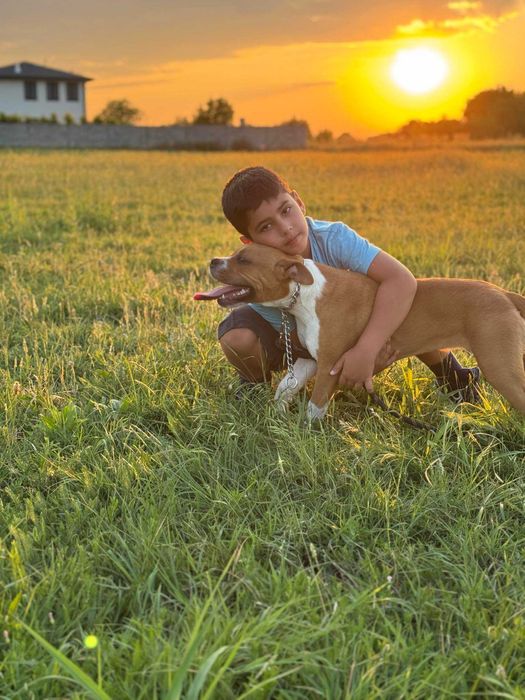 Подарявам куче момиче на 12 месеца