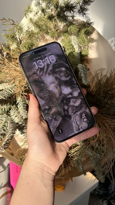 Iphone 14 pro max на 256гб