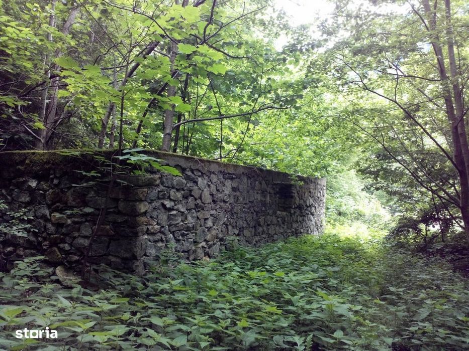 Proprietate rară în inima Retezatului – 5.700 mp teren intravilan