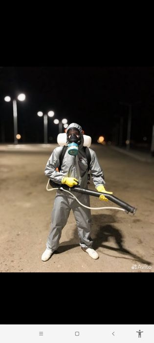 dezinfeksiyaga qarshi dori vositalari klapa va tarakan chumoli