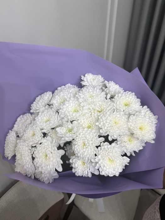 Продам цветы срочно