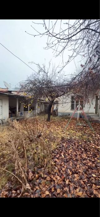 Тошкент шахри.Шайхонтохур тумани