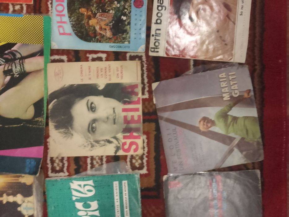 Colecție 30+ Discuri Vinil