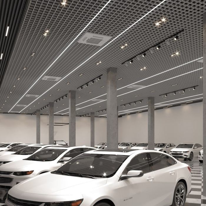 Armstrong grilyata va rechniy