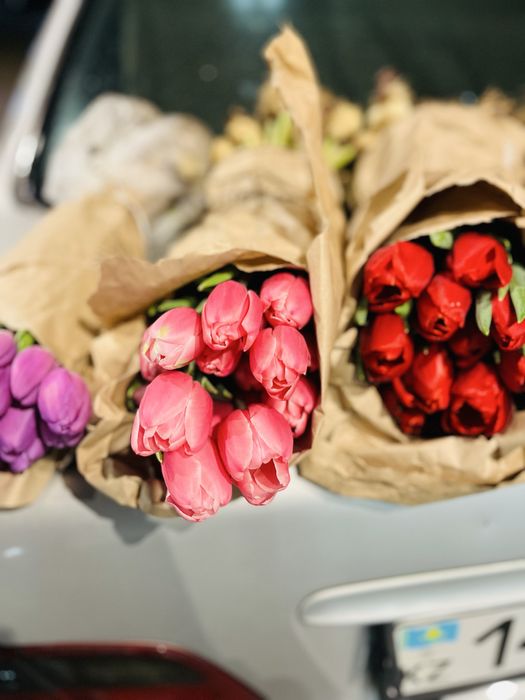 Свежий тюльпаны в хорошем ценам В Есикее