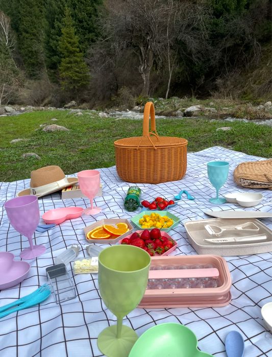 Набор для пикника