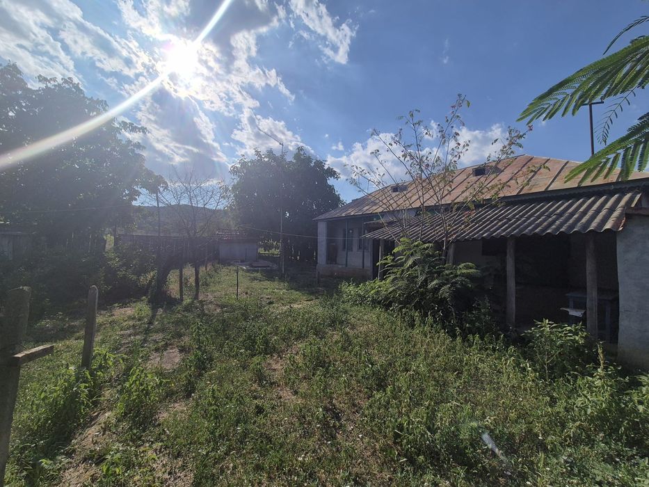 Casa de vanzare, județul Tulcea,  comuna Hamcearca