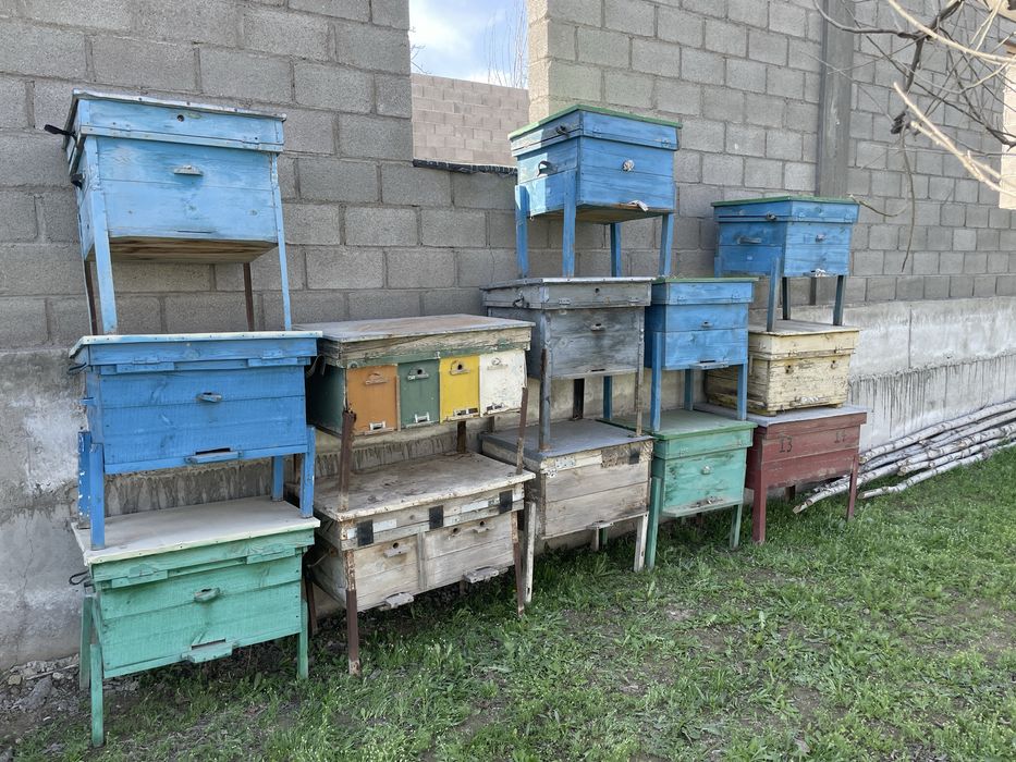 Asalari yashiklari sotiladi