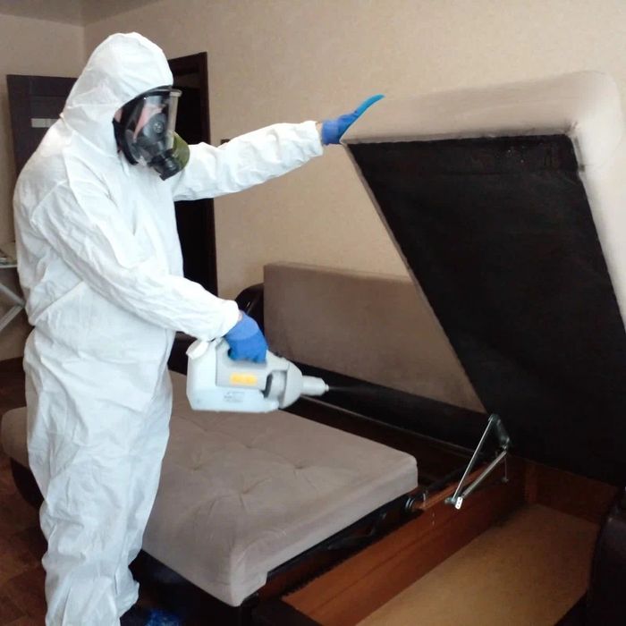 Дизинфекция Дезинфекция Tаракан Kлоп Dizenfeksiya Dezenfeksiya Klop