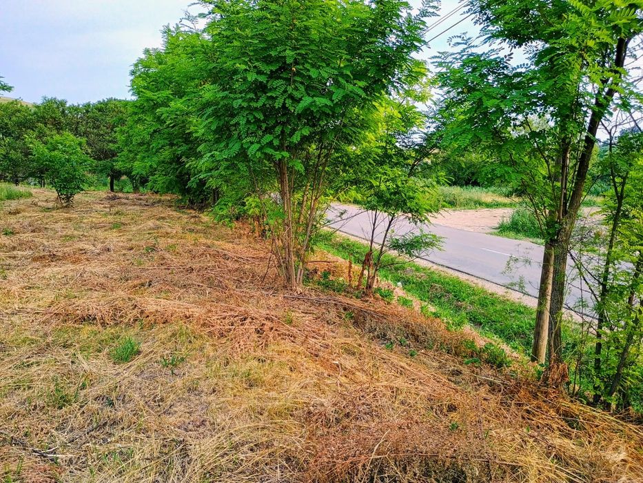 2 terenuri intravilan  intre Apahida si Cojocna 35 € mp.