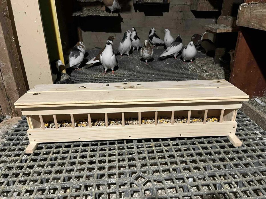 Хранилки за гълъби