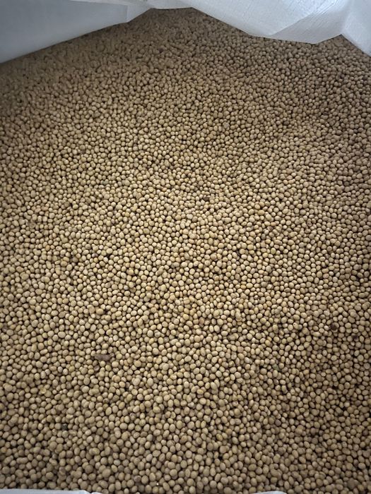 Samanta soia certificata C1 , soi Director (Lidea)