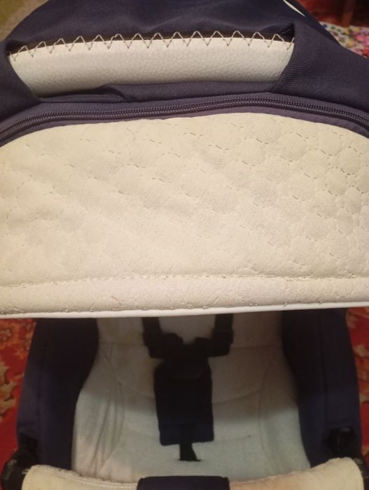 Adamex aspena коляска 3 в 1