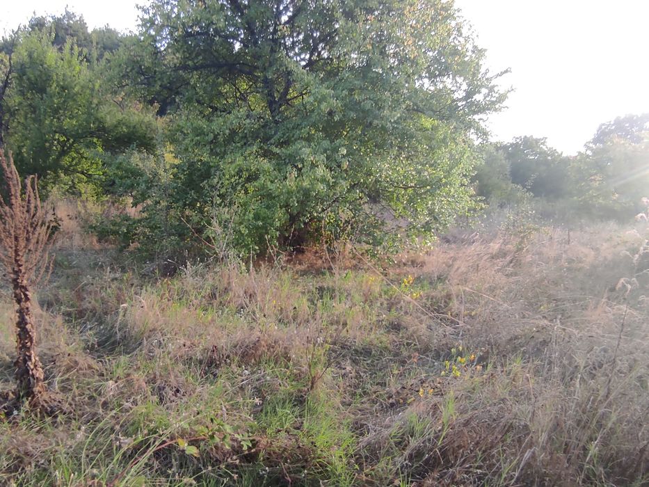 Продава се Парцел в с. Сърнегор, Област Пловдив - 433 кв.м за 18 €/кв.м - Снимка #16