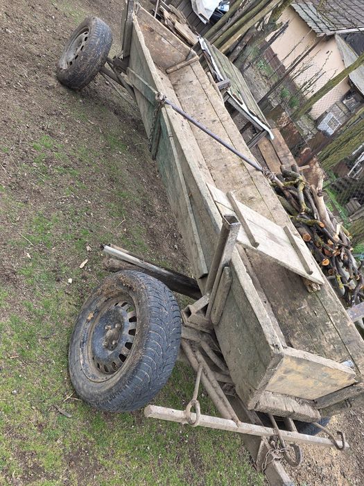 Iepe de vânzare,cu căruța și hamuri